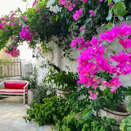 Azize Palas Apart Otel-2