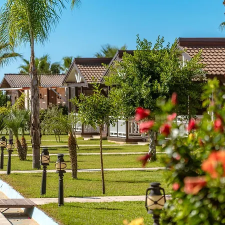 Sedir Park - Beach Bungalow-2