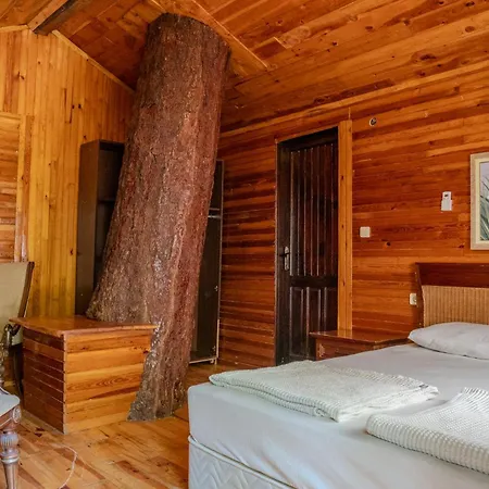 Kadir'S Top Tree Houses-2