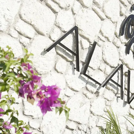 Alavya-2