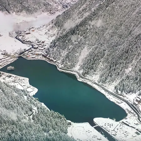 Bungavilla-3