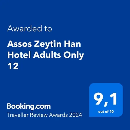 Assos Zeyti̇N Han Special Class Hotel Adults Only 12-2