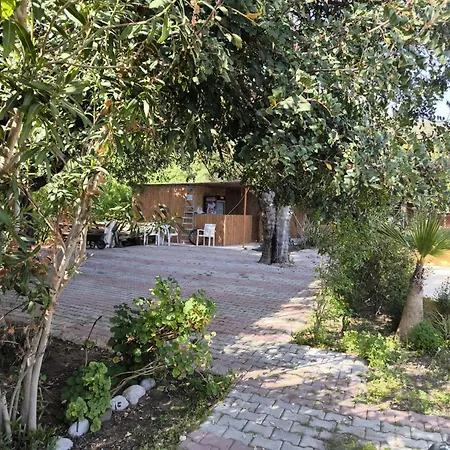 Çirali Natural Lıfe Bungalows Hotel-3