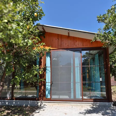 Baris Pension & Bungalows-3