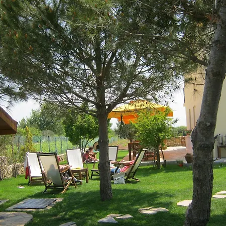 Nar Bağevi-2