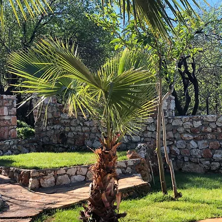 Kale Lodge - Adult Only + 15-3