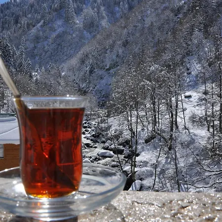 Ayder Hasimoglu Hotel-3