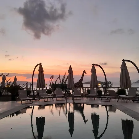 Small Beach Hotel-3