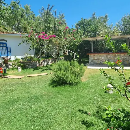 Lemon Garden Boutique Hotel-3