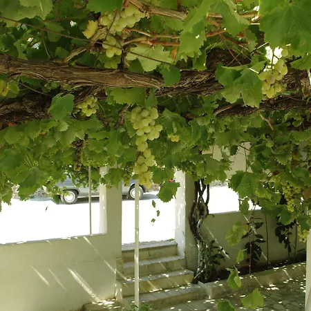 Sulo Pension-3