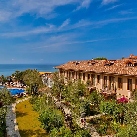 Palace Hotel Olive Odore-2