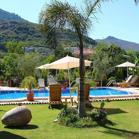 Mavi Deniz Konuk Evi-3