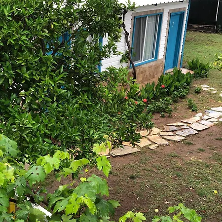 Çıralı Marina Loft-3