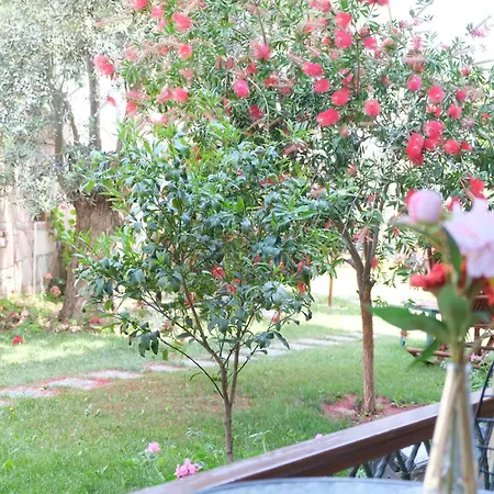 Nilüfer Butik Otel-2