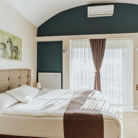 Blackmoon Villa Edirne-3