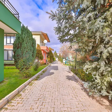 Afyon Dundar Thermal Villa-2