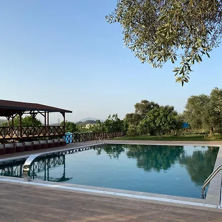 Çırağan Deluxe Botanik Park Bungolov Evleri-3