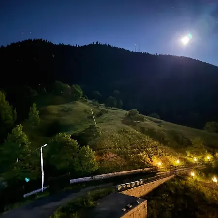 Black Forest Hotel-3