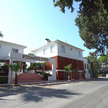 Pidasus Hotel-3