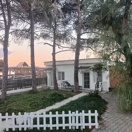 Teos Ormanci Tatil Koyu-2
