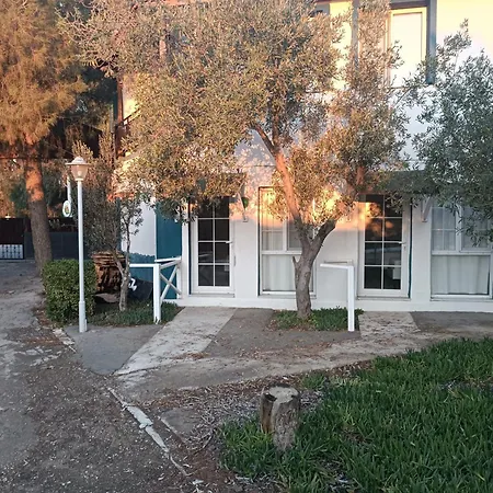 Teos Ormanci Tatil Koyu-3