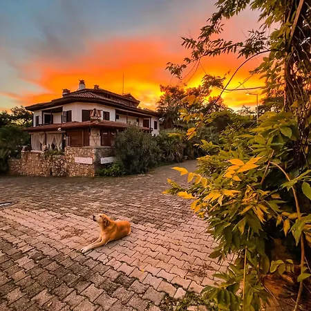 Liya Boutique Hotel & Suites-3