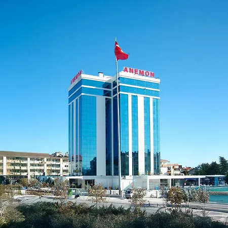 Anemon Konya-2