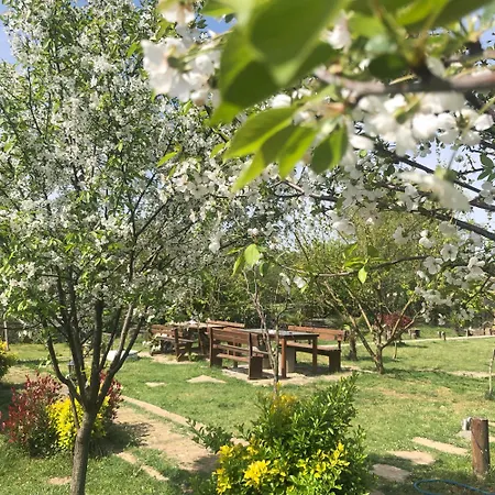 Kerpe Diem Otel-2
