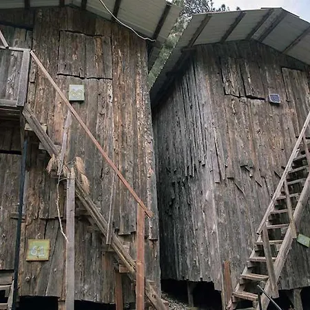 Bayrams Tree Houses-3