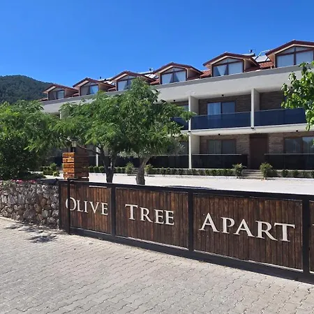 Olive Tree Apart Hotel-2