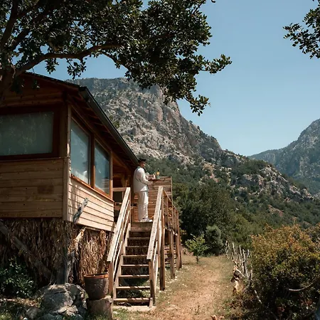 Olive Garden Kabak-3