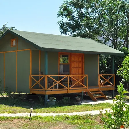 Hobbit Evi-2