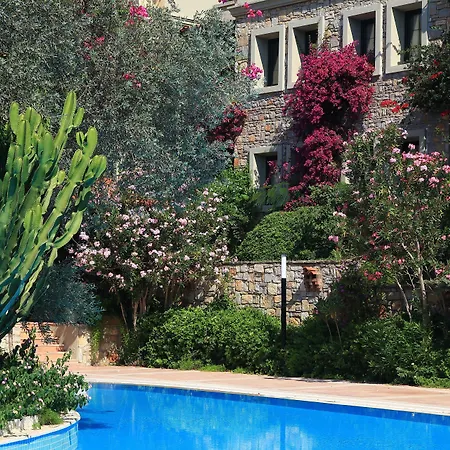 Zeytinada Hotel-3