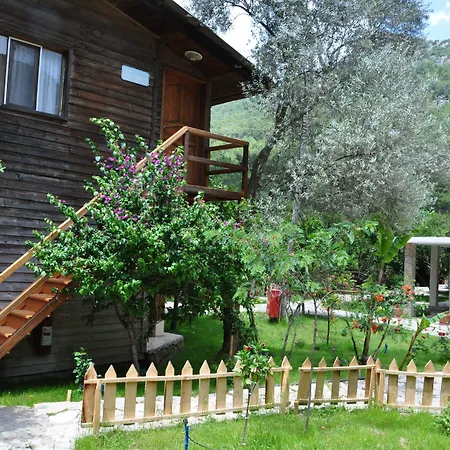 Turkmen Tree Houses-3