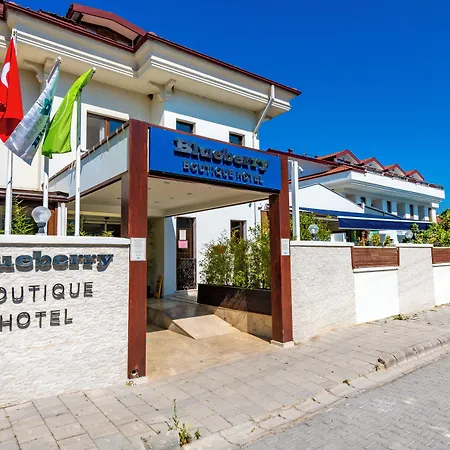 Blueberry Boutique Hotel-3