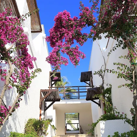 Ceshme Plus Hotel-2