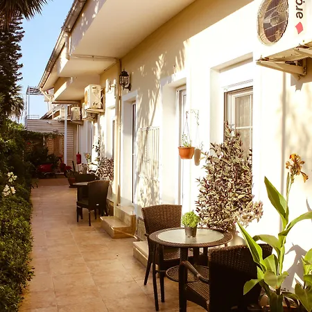 Arp Dalyan-3