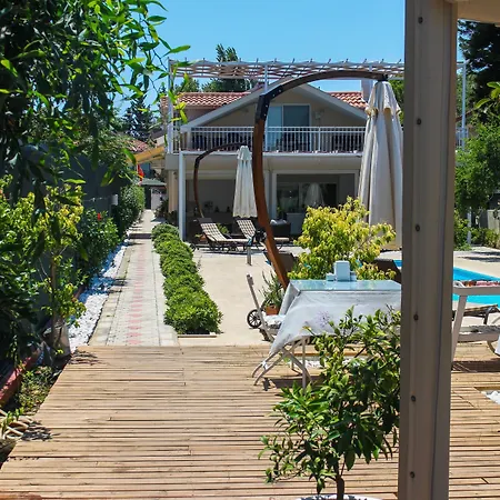 Arp Dalyan-2