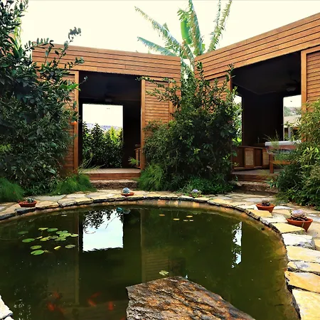 The Lifeco Bodrum Well-Being Detox Center And Vegan Hotel (Adults Only)-2