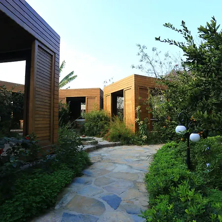The LifeCo Bodrum Well-Being Detox Center&Vegan Hotel-2
