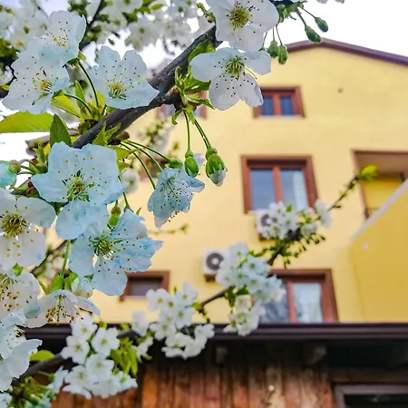 İznik Seyir Otel-2
