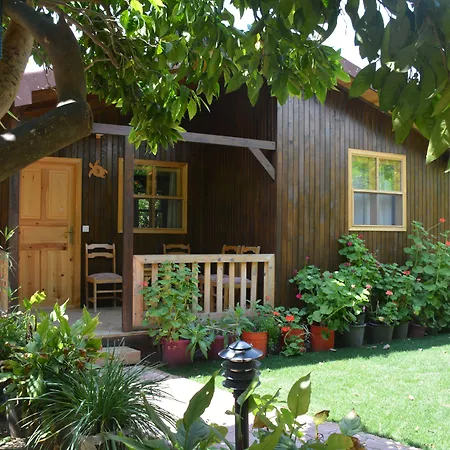 Caretta Caretta Pension-3