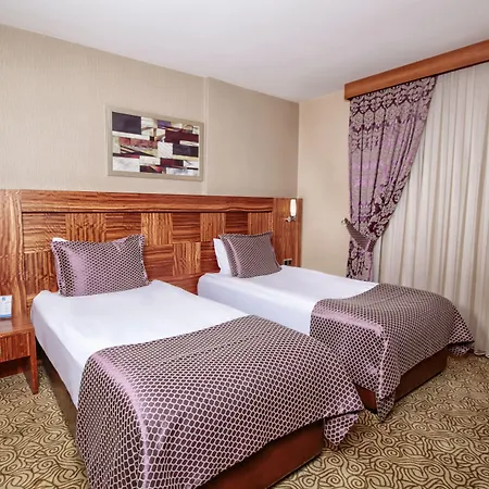 Adana Garden Business Hotel-3