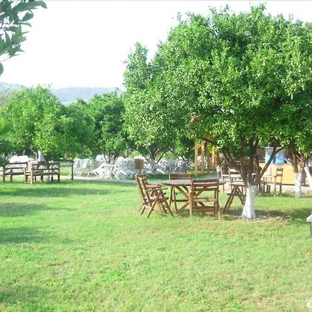 Woodline Hotel-3
