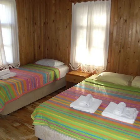 Koala Bungalows-2