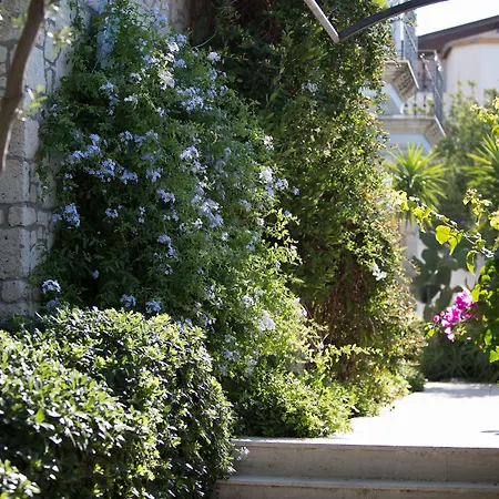 Lale Lodge Hotel-3