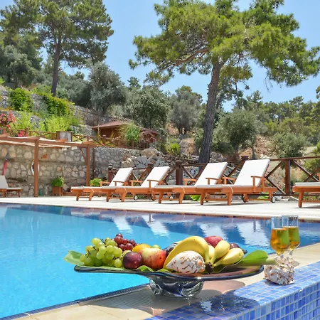 Zakros Hotel Lykia (Adults Only)-3