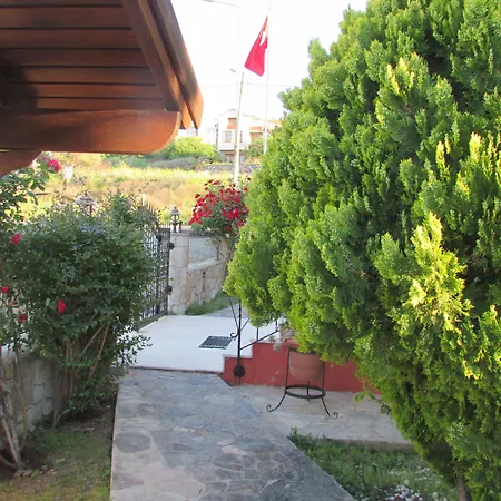 Suinn Cunda-2