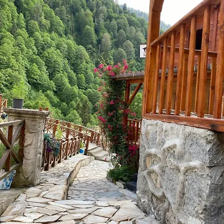 Ayder Resort Hotel-3