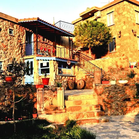 Alterna Köy Evi-3